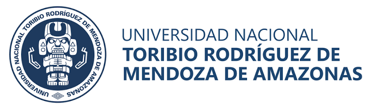 Universidad Nacional Toribio Rodriguez de Mendoza